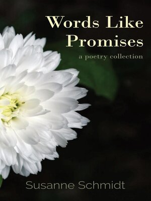 cover image of Words Like Promises